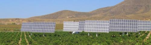 Dual Land Use - Solar Panels installed using sun trackers on a farm in Spain
